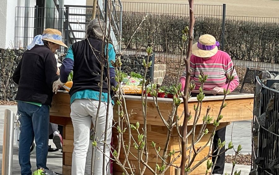 Bewohner pflegen Pflanzen im Beet